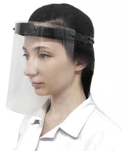 Load image into Gallery viewer, Winter in Venice Protective Face Shield, Visor Safety Clear PPE Cat 1 - 4pack Masks
